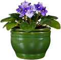 Self Watering Pot for African Violets Indoor Outdoor Plants, 6 inch, Green by SanmudecorGarden