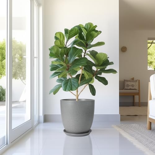 Plant Pot Saucers - Ceramic Plant Saucers for Outdoors 12 inch Plant Trays for Indoors No Holes Plant Drainage Trays Round Flower Pot Saucers Plant Plates to Catch Water 2 Pack Gray - Image 6