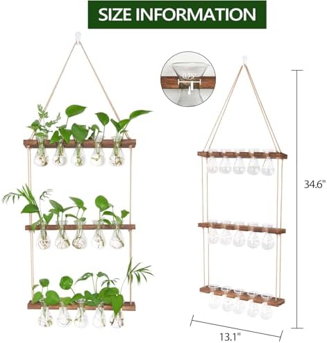 XXXFLOWER Upgraded Glass Plant Mister Spray Bottle+Wall Hanging Propagation Station with Wooden Stand 5 Bulb Vase 3 Tiers - Image 7