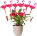 6 Pcs Non-Clogging Plant Watering Globes, Slow Release Flamingo Gradient Hot Pink Self Watering Planter Insert, Automatic Glass Waterer Bulbs for Indoor & Outdoor Plants by Unknown