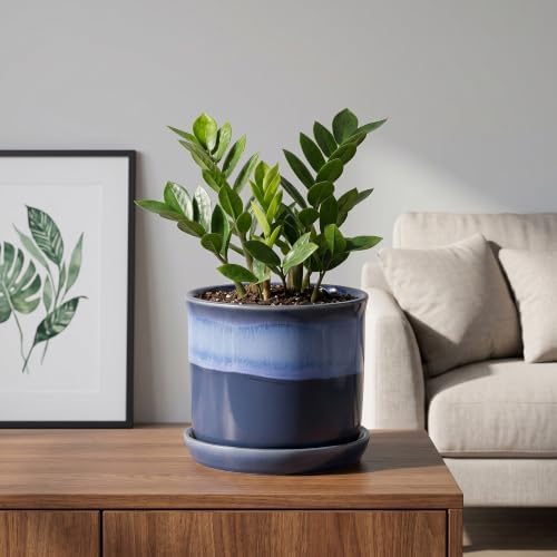 5.8 Inch Plant Pot: Ceramic Planter with Drainage Hole & Saucer - Flowerpot for Indoor & Outdoor Plants with Separate Tray for Home & Office - Blue - Image 7