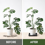NATSUKY Square Plant Saucer 14 Inch 4 Pack Tray Plastic Pot for Outdoor - Image 4