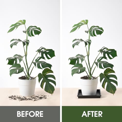 NATSUKY Square Plant Saucer 14 Inch 4 Pack Tray Plastic Pot for Outdoor - Image 4
