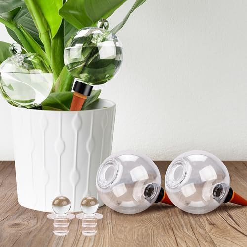 Soilagua 19 oz Up to 2 Weeks Extra Large Plant Watering Globes, 4 Pack by SoilaguaDirect