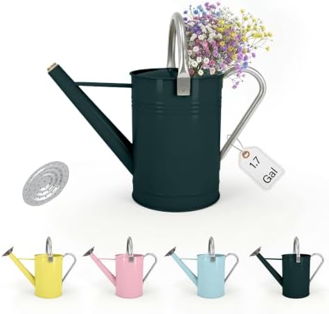 Galvanized Iron Watering Can for Indoor Plants, DIY Watering Cans for House Plant Garden Flower, Long Spout Water Can for Outdoor Watering Plants 6.44L 1.7Gallon (Dark Green) by Longrun