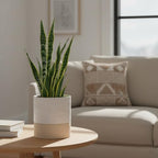 Nihow Ceramic Self Watering Plant Pot for Indoor Plants, 6 Inch,Cream White - Image 5