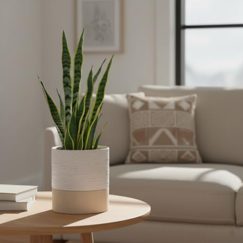 Nihow Ceramic Self Watering Plant Pot for Indoor Plants, 6 Inch,Cream White - Image 5