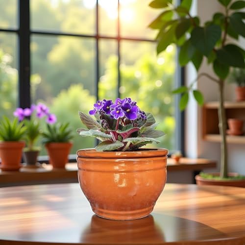 African Violet Pots Self Watering Orange 6 inch - Image 2
