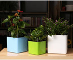 Luxshiny Self Watering Flower Pot Large Capacity Plastic Planter with Double Layer Design and Detachable Inner Pot Suitable for Wall and Weather Condition - Image 7