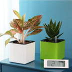 Abaodam Planter Large Capacity with Double Layer Design and Thick Cotton Rope Self Watering Flower Pot Square Plastic for Wall or Desk Indoor Plants - Image 5