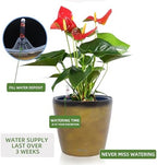 Dexceder 9x8 Self Watering Planter (Yellow Brown Gradient) - Image 5