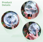 5 Self-Watering Globes For Plants, 500Ml Capacity With Ceramic Base, Automatic Slow Release For Easy Plant Care, Indoor & Outdoor Use - Image 5