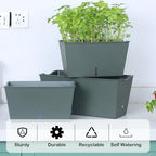 Window Box Planter 6 Pcs, 12.6 Inches Self Watering Rectangle Flower Plant Pots with Drainage Holes & Breathable Trays, Vegetable Planters for Windowsill Patio Garden Balcony Porch Yard (Dark Green) - Image 3