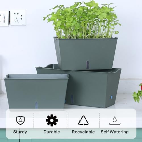 Window Box Planter 6 Pcs, 12.6 Inches Self Watering Rectangle Flower Plant Pots with Drainage Holes & Breathable Trays, Vegetable Planters for Windowsill Patio Garden Balcony Porch Yard (Dark Green) - Image 3