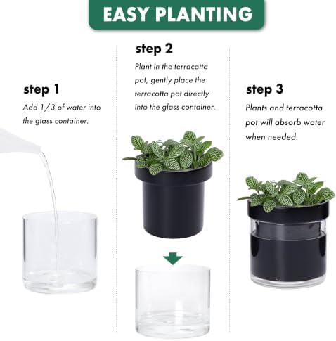Phoenix Vine 4 Inch Self Watering Planter Pot, Black Terracotta Clay Pot with Glass Reservoir for Indoor Plants, Herbs, Flowers, Set of 4, 52-C-E-4 - Image 7