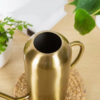 0.23 Gallon Metal Watering Can, Modern Metal Stylish Water Can for Plants with Long Spout and Handle,Stainless Steel Rustproof Decorative Indoor Watering Cans for House Plants Home Outdoor - Image 4