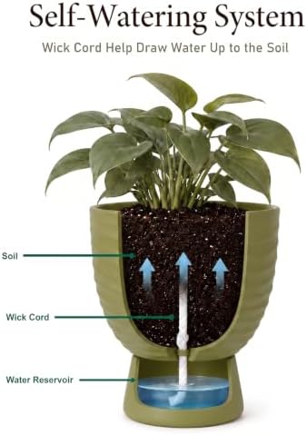 Green Terracotta Self Watering Plant Pots, 6 and 8 Inch with Saucers - Image 5