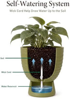 Green Terracotta Self Watering Plant Pots, 6 and 8 Inch with Saucers - Image 5