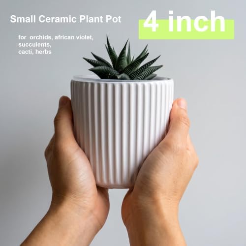 Small Ceramic self Watering Pot for Succulents, 4 inch, White,2pack - Image 3