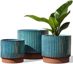 LE TAUCI Ceramic Plant Pots with Drainage Holes, Set of 3, 8+6.7+5.5 Inch Stripe Garden Planter Pots for Outdoor Indoor Plants Flower, Round Succulent Orchid Flower Pot, Reactive Glaze Green by LETAUCI