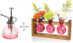 XXXFLOWER Glass Plant Mister Spray Bottle+3 Bulb Glass Propagation Station by XXXFLOWER