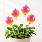Plant Watering Globes, Gradient Color Glass 9 oz Self Watering Globes by JNTGVINE