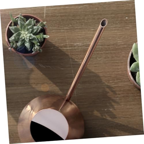 900ml Stainless Steel Watering Can with Long Spout for Plants - Image 7