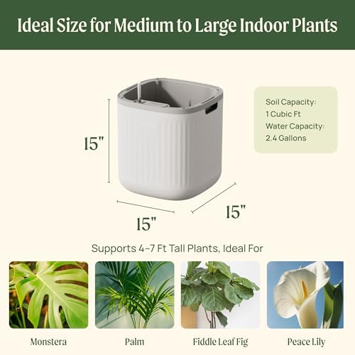 15 Inch Self-Watering Planter for Indoor Plants – Large Modern Plant Pot with Built-In Water Reservoir, Ideal for Monstera, Fiddle Leaf Fig, Palms & Peace Lily, Without Trellis (2, Cream White) - Image 2