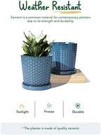 LE TAUCI Ceramic Pots for Plants, 5.5 Inch Plant Pots with Drainage and Saucer, Indoor Plant Pots for Succulents, Snake Plants, Cactus, and More, Set of 2, Reactive Glaze Blue - Image 4