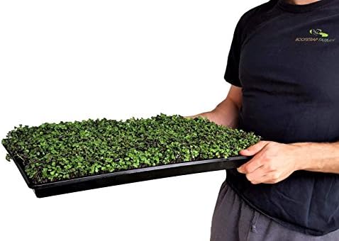 Bootstrap Farmer Shallow 1020 Trays Extra Strength No Hole White 10 Pack - Image 2