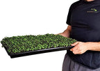 Bootstrap Farmer Shallow 1020 Trays 30 Pack No Hole Extra Strength White - Image 2