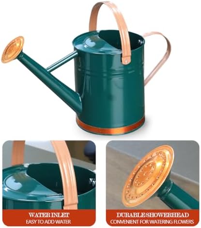 Metal Watering Can 1 Gallon for Outdoor Indoor Garden Plants,GreenB - Image 4
