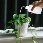 for Plants 4 Pcs 16.9 Fl Oz / 500 Ml Squeeze Bottles, Spray Bottles Curved Nozzle, Precision Watering, Indoor Plants, Fertilizer and Cleaning Mixing - Image 3
