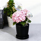 6 Pcs Iridescent Glass Self Watering Globes, Decorative Rainbow Plant Watering Bulbs, Automatic Irrigation System for Indoor and Outdoor Plants, Small and Large Sizes, Easy Watering Set - Image 5
