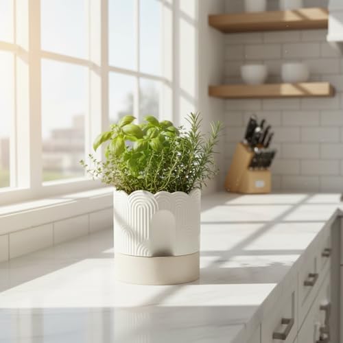 Nihow Ceramic Self Watering Pots for Indoor Plants, 8 Inch,Beige - Image 6