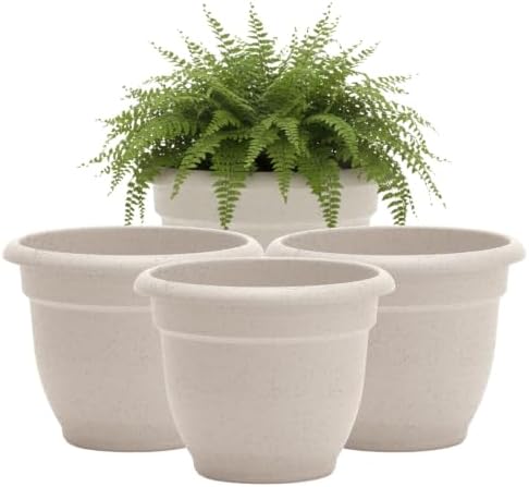 Bloem Ariana 6" Plastic Self-Watering Planter, Vanilla Bean, 4-Pack by Bloem