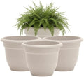 Bloem Ariana 6" Plastic Self-Watering Planter, Vanilla Bean, 4-Pack by Bloem