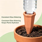 Terracotta Self Watering Spikes, 8 Pack Waterer Stakes - Image 3