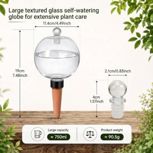 6 Pack Self-Watering Globes - Image 4