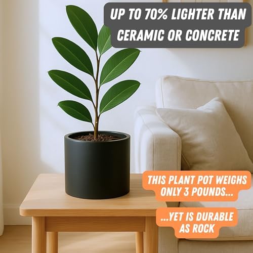 Fox & Fern Large Planter for Indoor or Outdoor, Black Matte, 8 Inch - Image 3