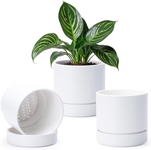 Phoenix Vine 6 Inch Planter Pot with Drainage Hole & Saucer, Deep Water Catch Tray, Straight Cylindrical Round Pot for Plants, Matte White, Pack of 3, 23-B-S-3 by Phoenix+Vine