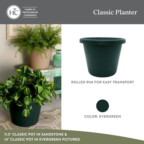 The HC Companies Classic Round Plastic Plant Pot w/Rolled Rim - Lightweight & UV Resistant Flower Pot for Herbs & More - Outdoor & Indoor Plant Pots w/Drainage (15.5 inch Evergreen, Pack of 1) - Image 2