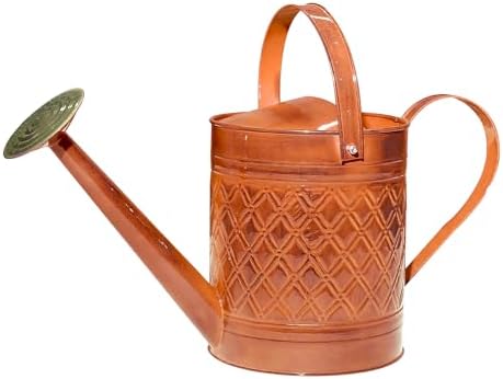 Headwind Wexley 2 Gallon Watering Can, Large Metal Watering Can Outdoor with Brass Rose Sprinkler Head, Vintage Galvanized Steel Garden Watering Can – Tango Orange by Headwind