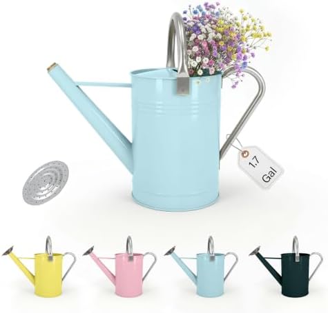 Galvanized Iron Watering Can for Indoor Plants, DIY Watering Cans for House Plant Garden Flower, Long Spout Water Can for Outdoor Watering Plants 6.44L 1.7 Gallon (Blue) by Longrun