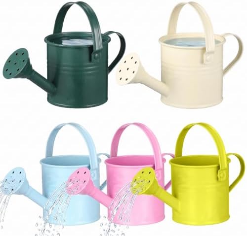 5pcs Kids Metal Watering Can Set: Mini Watering Cans for Indoor Plants - Small Metal Garden Can with Sprinkler Head for Houseplants Toddler Garden Water can Outdoor Flowers Pots Assorted by Alipis