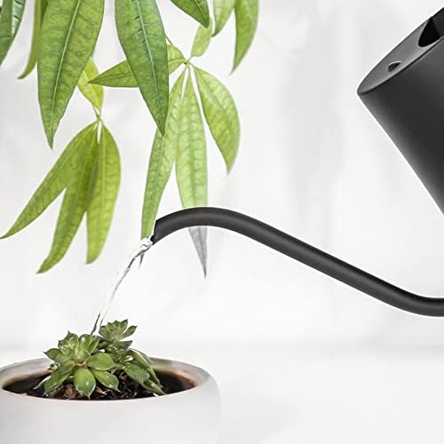 Zerodis Retro Watering Can,Long Spout Stainless Steel Watering Can Pot Plant Watering Can with Wooden Handle for Precise Watering Small Plant Garden Indoor Outdoor Use (Black) - Image 6