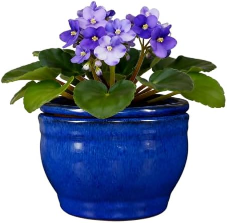 Self Watering Pot for African Violets Indoor Outdoor Plants, 6 inch, Blue by SanmudecorGarden