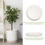 Eightpot Plant Tray for Pots - Ceramic Plant Saucer for Indoors Outdoors 7.5 Inch Plant Water Catcher Tray Plant Drainage Dray Decorative Flower Pot Saucer Plant Plates to Catch Water, Cream White - Image 5