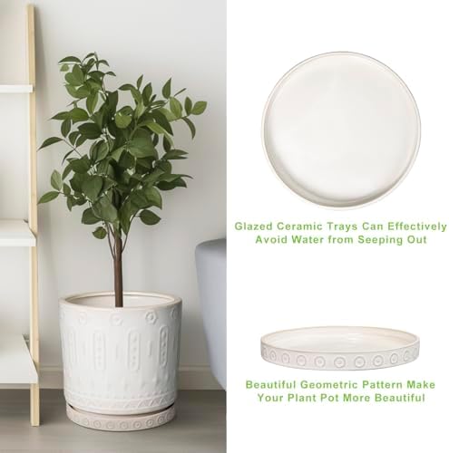 Eightpot 2 Pack Ceramic Plant Saucer, 7.5 Inch Plant Trays for Pots, Round Plant Plates to Catch Water for Indoor Outdoor, Modern Plant Dishes to Catch Water, Decorative Flower Pot Trays, Cream White - Image 5