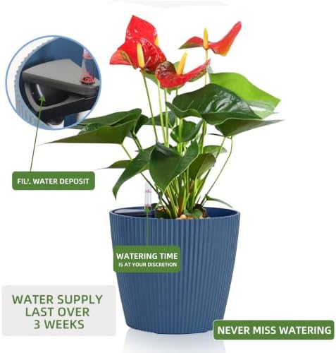 Dexceder 11x10 Self Watering Planters Indoor (2 Pack, Deep Blue) - Image 5
